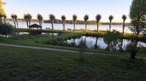 Captura de Pantalla 2025-10-18 a las 15.03.44